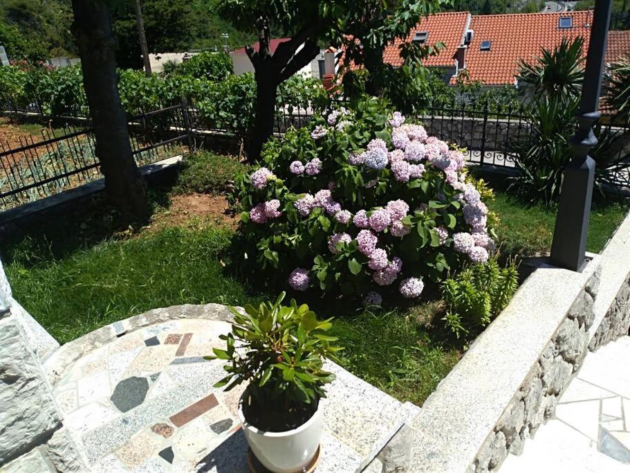 Apartment Mediterranean Garden Rijeka Bagian luar foto