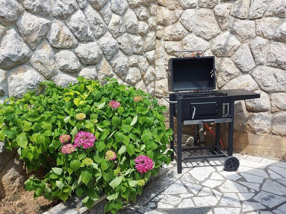 Apartment Mediterranean Garden Rijeka Bagian luar foto
