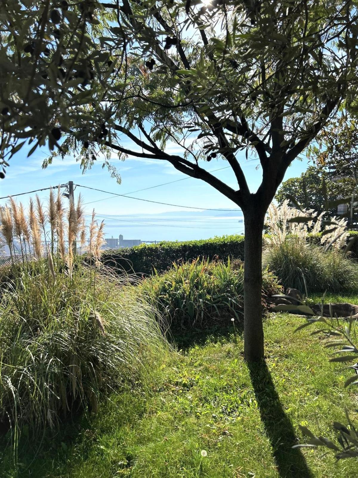 Apartment Mediterranean Garden Rijeka Bagian luar foto